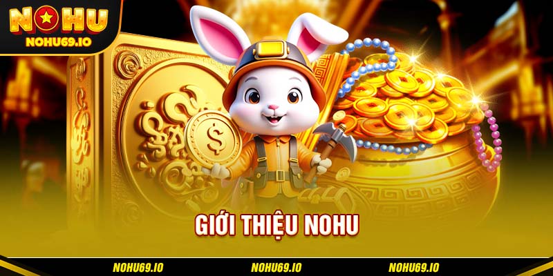 Giới thiệu NOHU với những thông tin tổng quan nhất