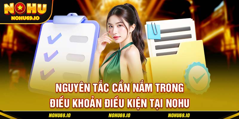 Nguyên tắc cần nắm trong điều khoản điều kiện tại NOHU